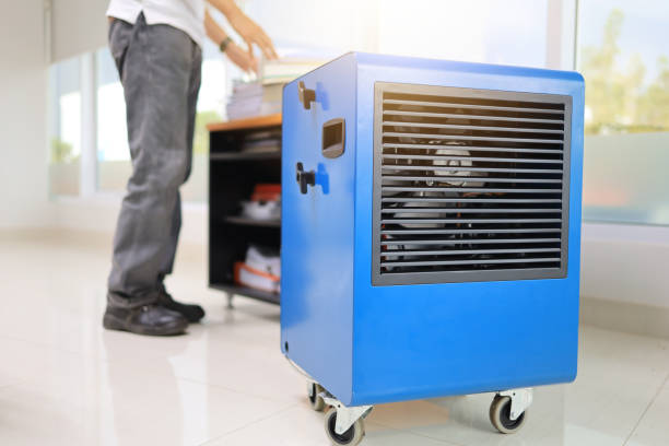 Best Mold Odor Removal Services  in Clark Mills, NY